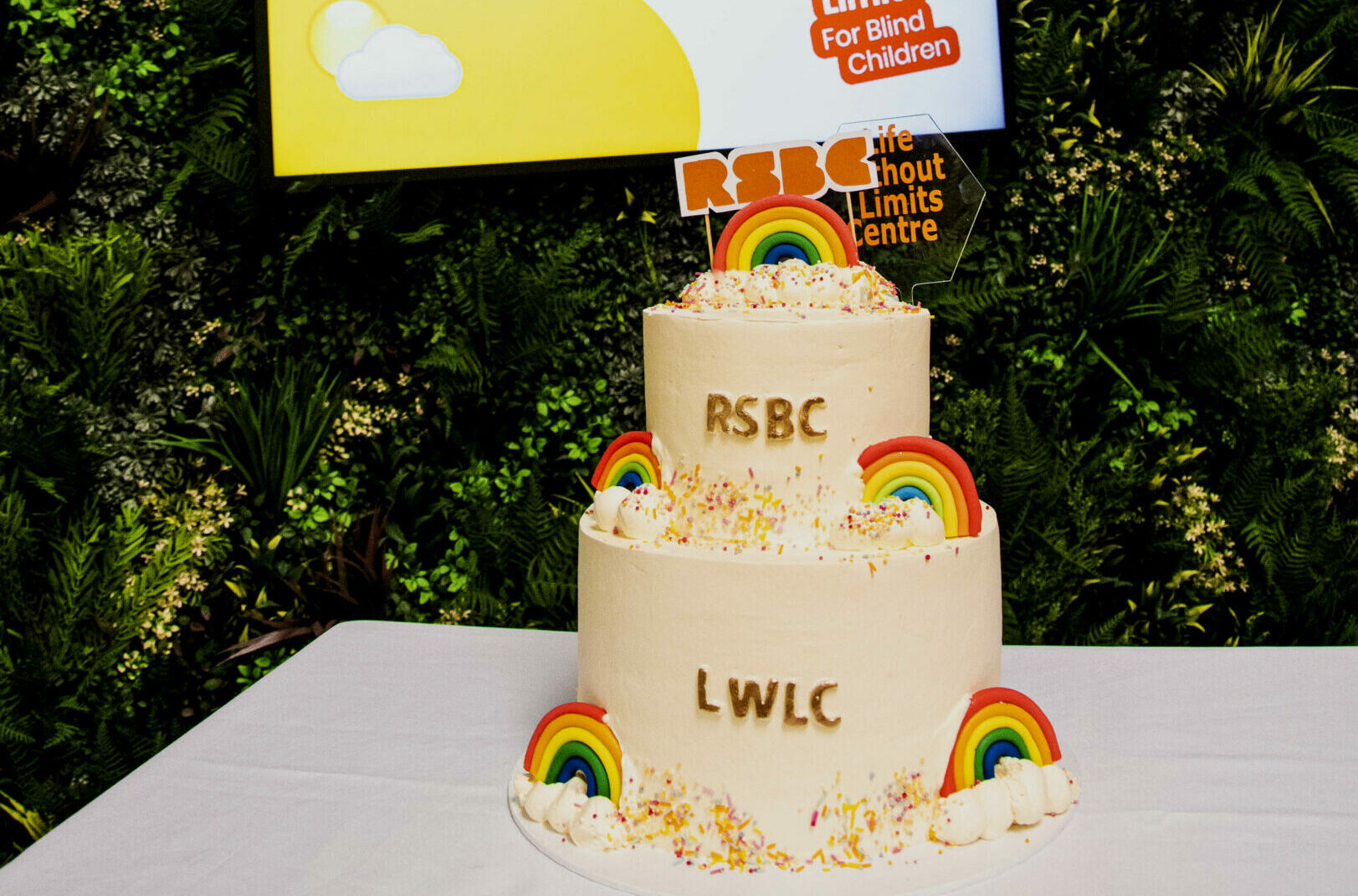 A two-tiered birthday cake decorated with rainbows and letters spelling out RSBC and LWLC.