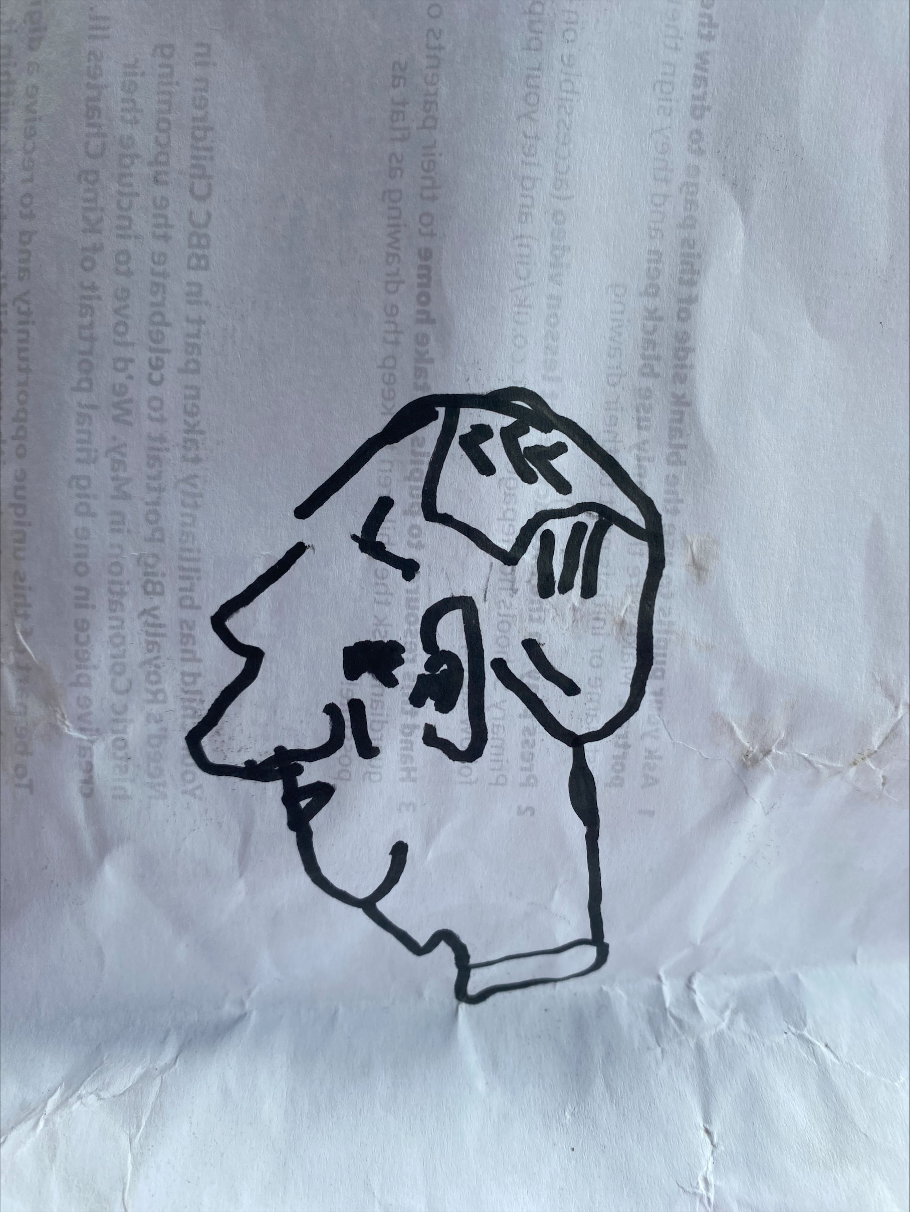 A drawing representing the side profile of His Majesty The King Charles